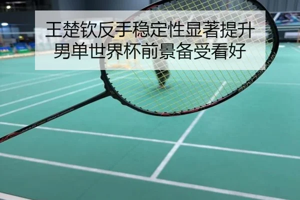 王楚钦反手稳定性显著提升 男单世界杯前景备受看好
